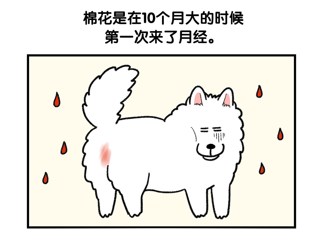 第43话 狗狗的例假(1/2)-第44话