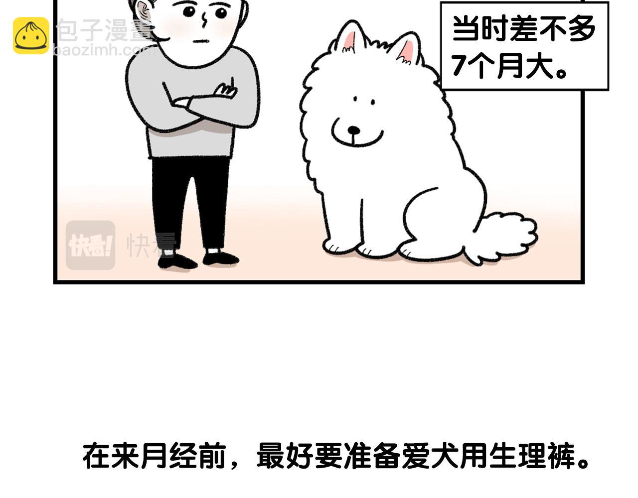 第43话 狗狗的例假(1/2)-第44话