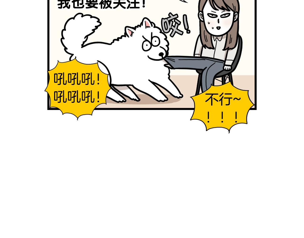 第49话 超有精力(1/2)-第50话