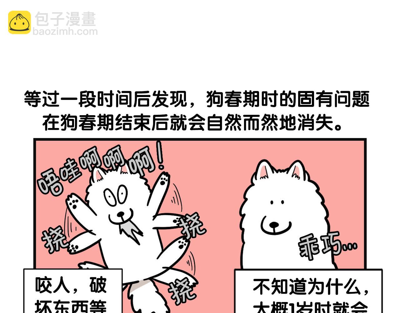 第53话 狗狗训练所(1/2)-第54话