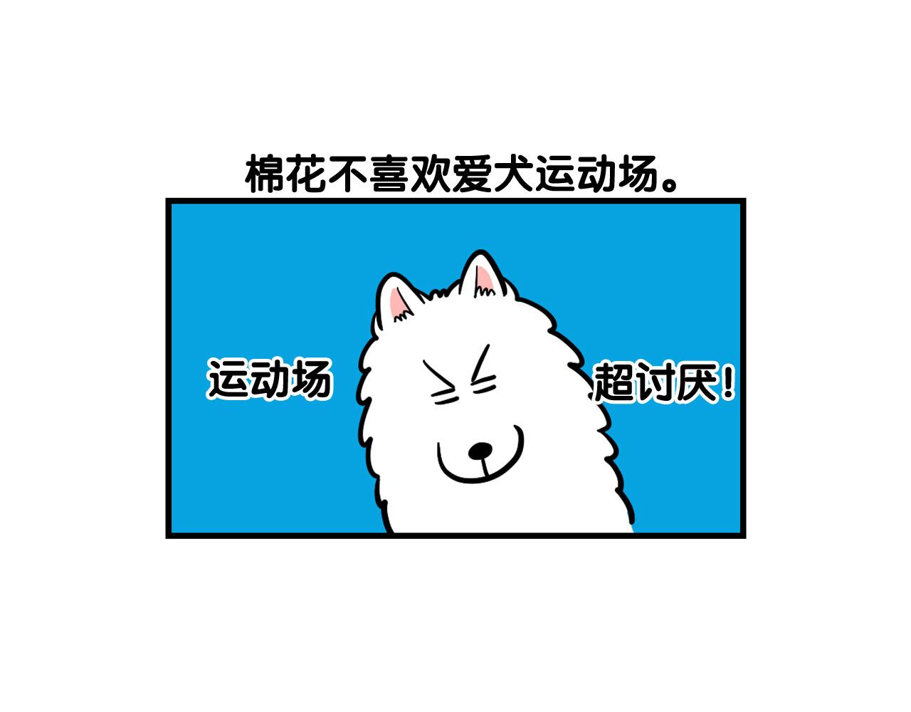 我的狗子叫棉花 - 第55話 社恐狗狗(1/2) - 2