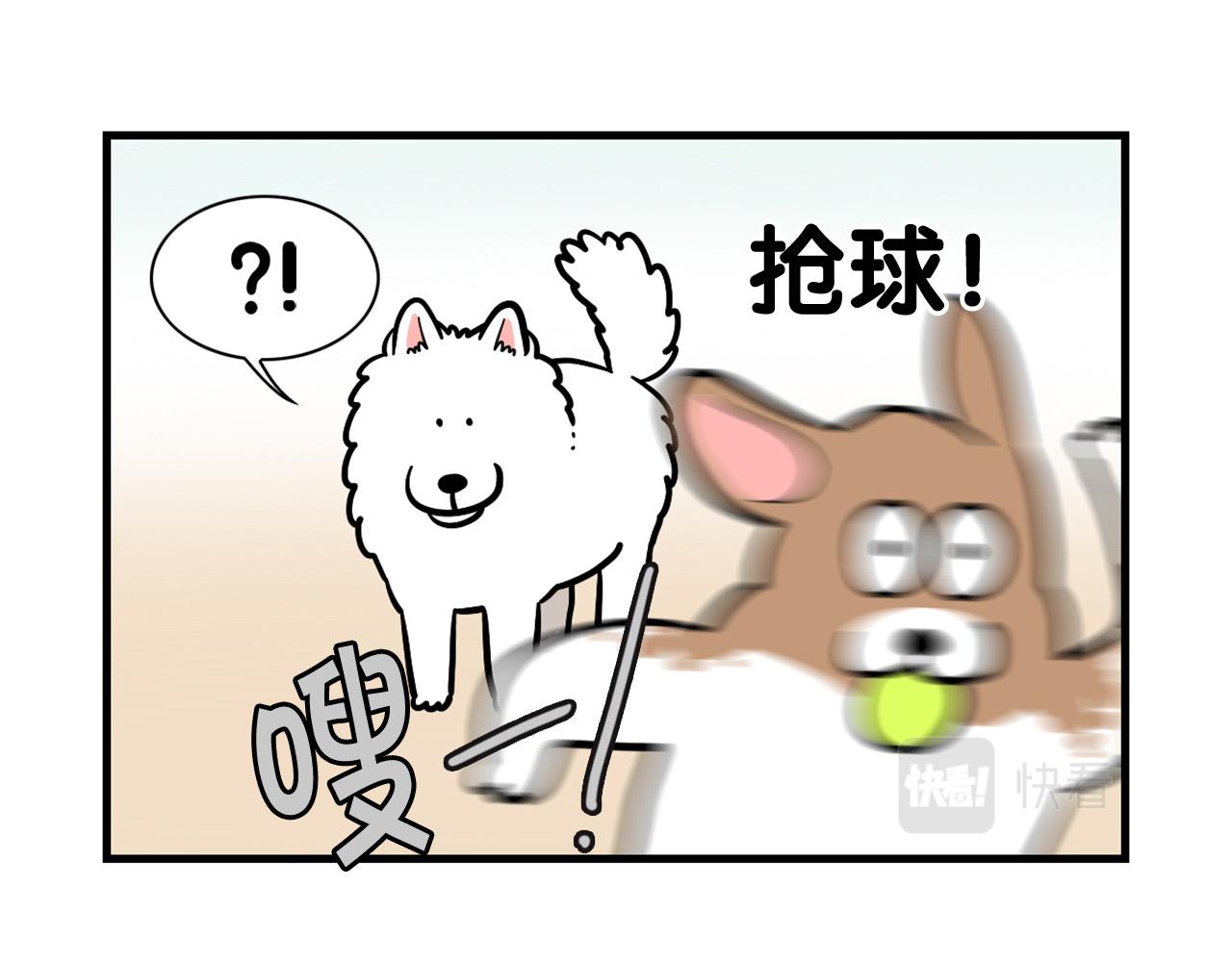 我的狗子叫棉花 - 第55話 社恐狗狗(1/2) - 8