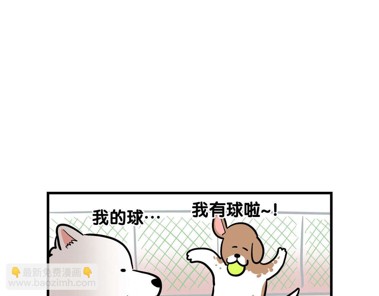 我的狗子叫棉花 - 第55話 社恐狗狗(1/2) - 1