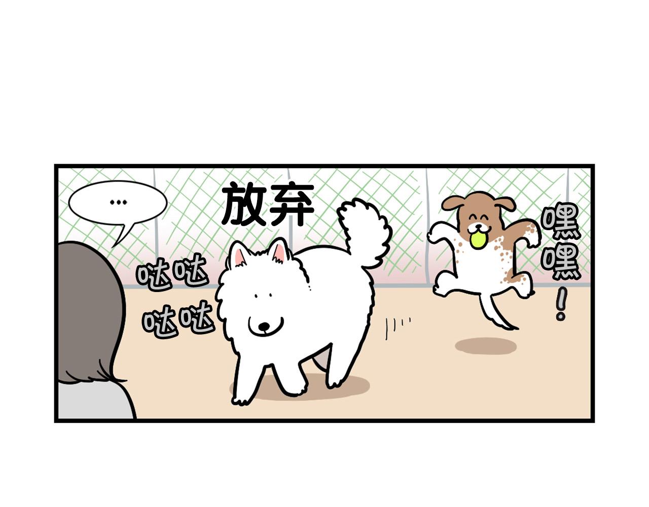 第55话 社恐狗狗(1/2)-第56话