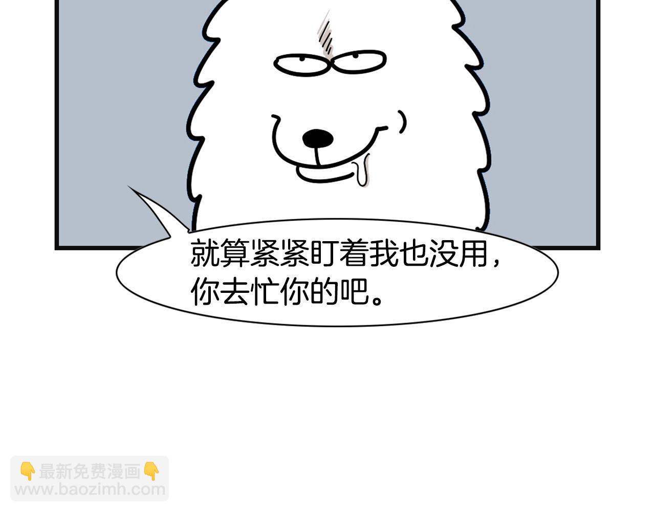 第57话 金丝熊(1/2)-第58话