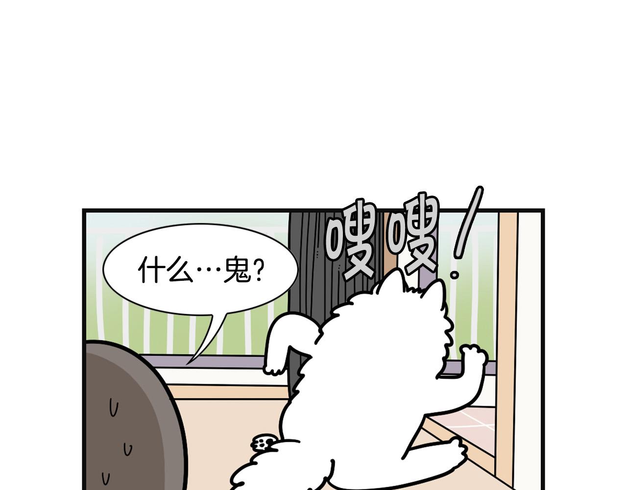 第57话 金丝熊(1/2)-第58话