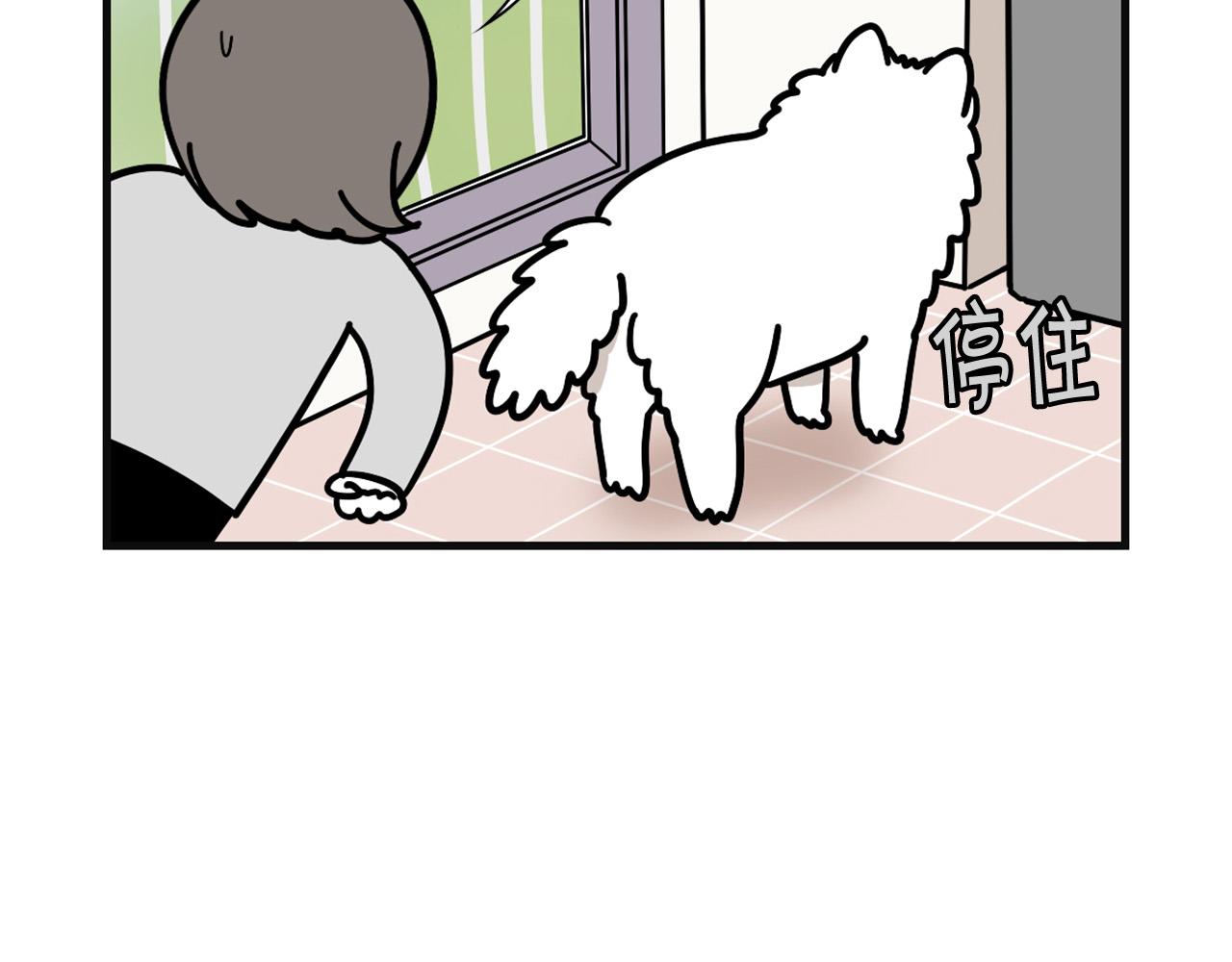 第57话 金丝熊(1/2)-第58话