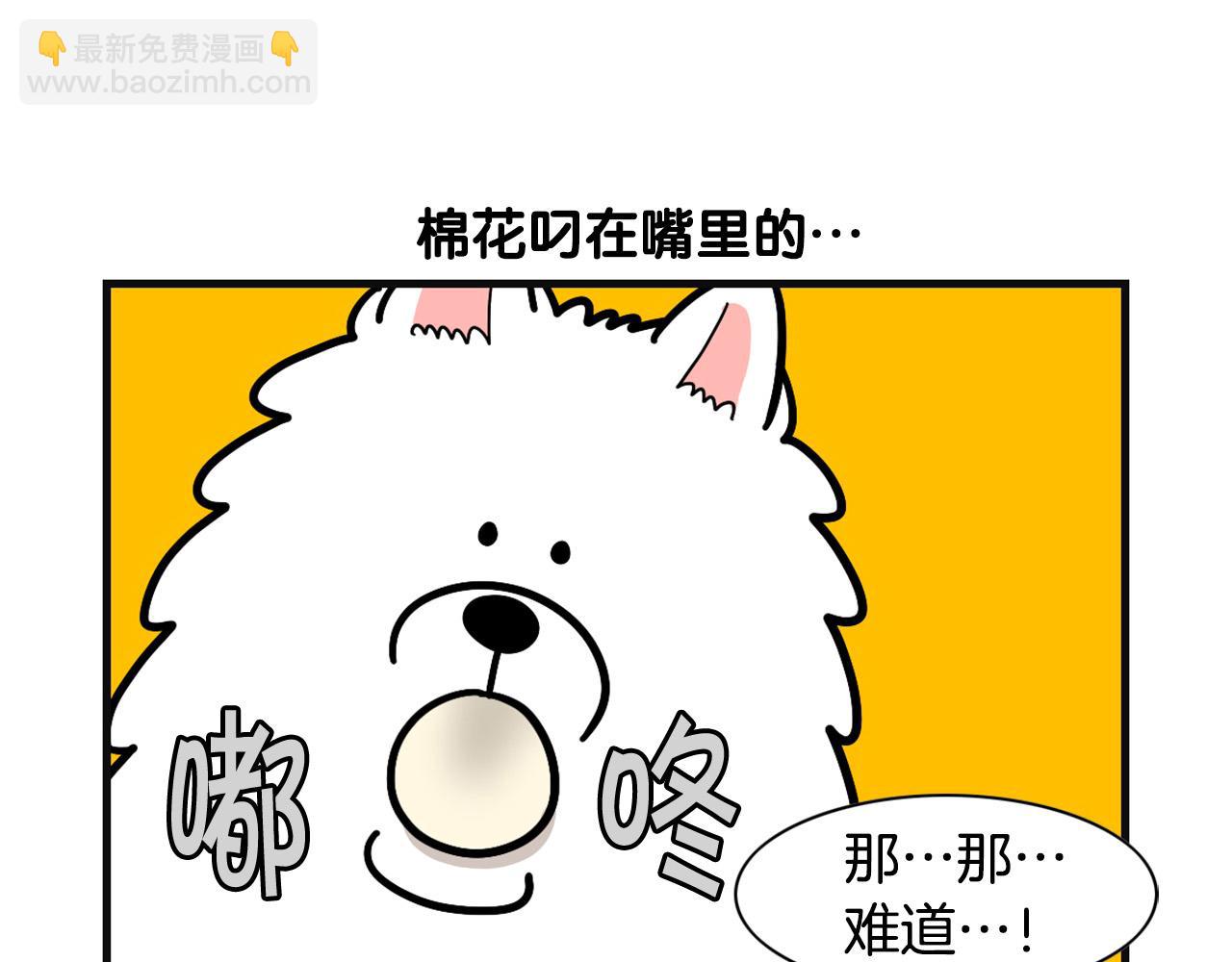 第57话 金丝熊(1/2)-第58话