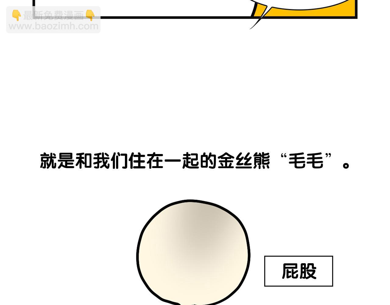 第57话 金丝熊(1/2)-第58话