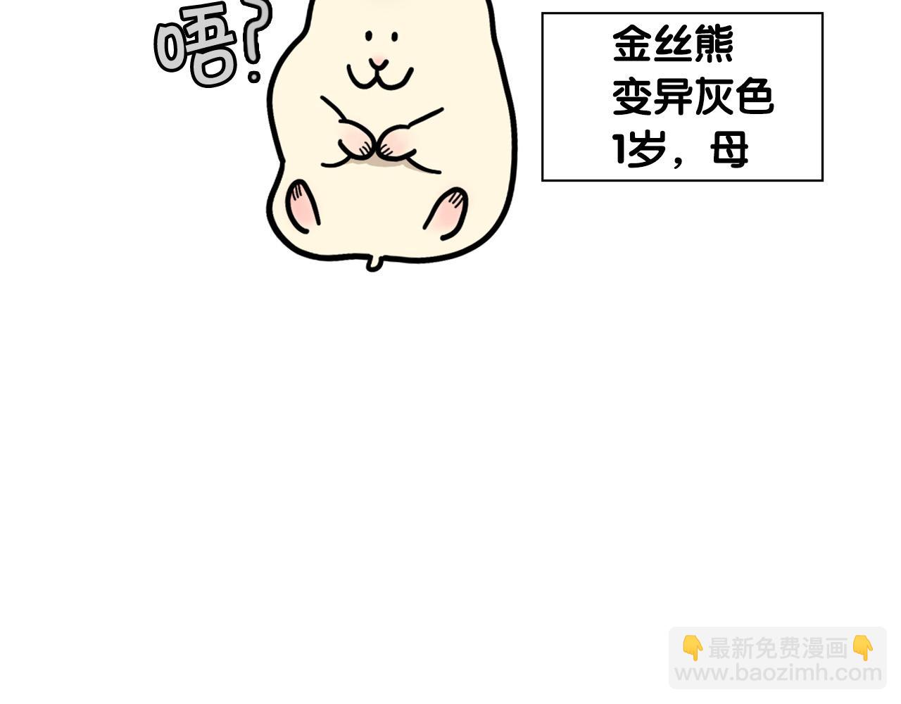 第57话 金丝熊(1/2)-第58话