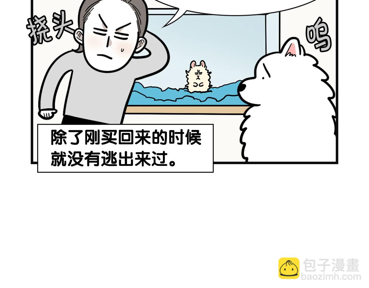 第57话 金丝熊(1/2)-第58话