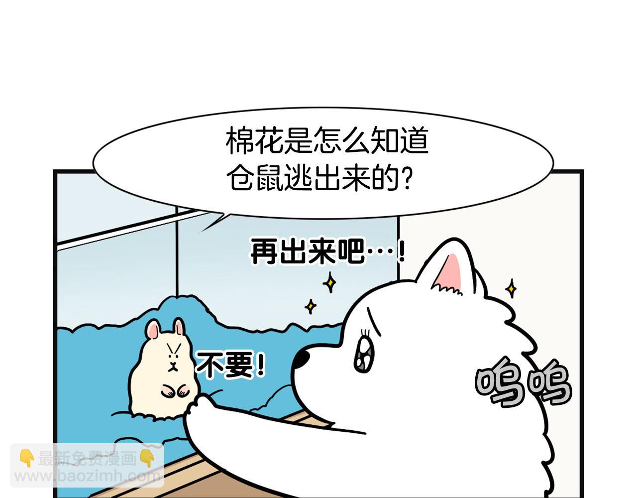 第57话 金丝熊(1/2)-第58话