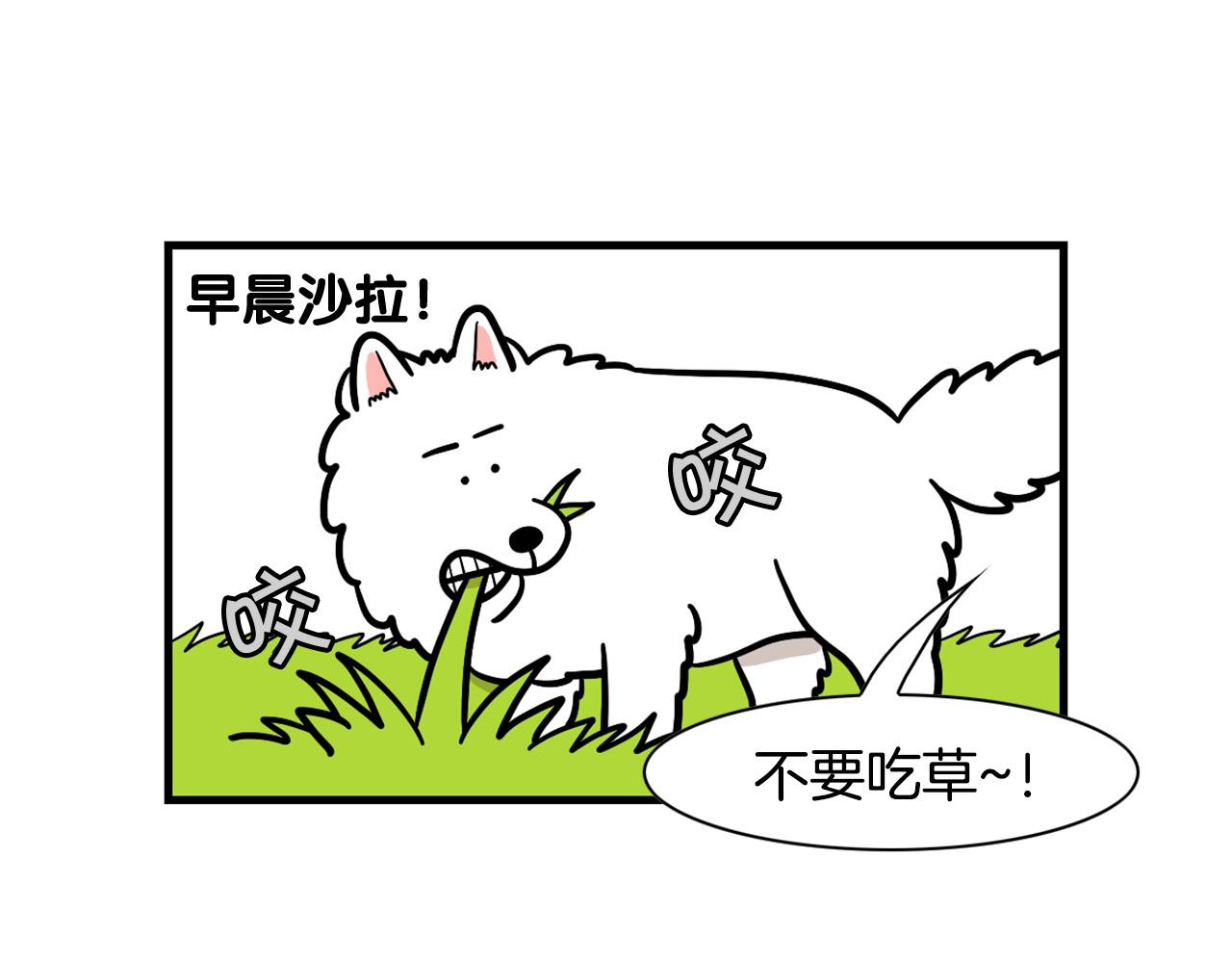 第59话 棉花的一天(1/2)-第60话