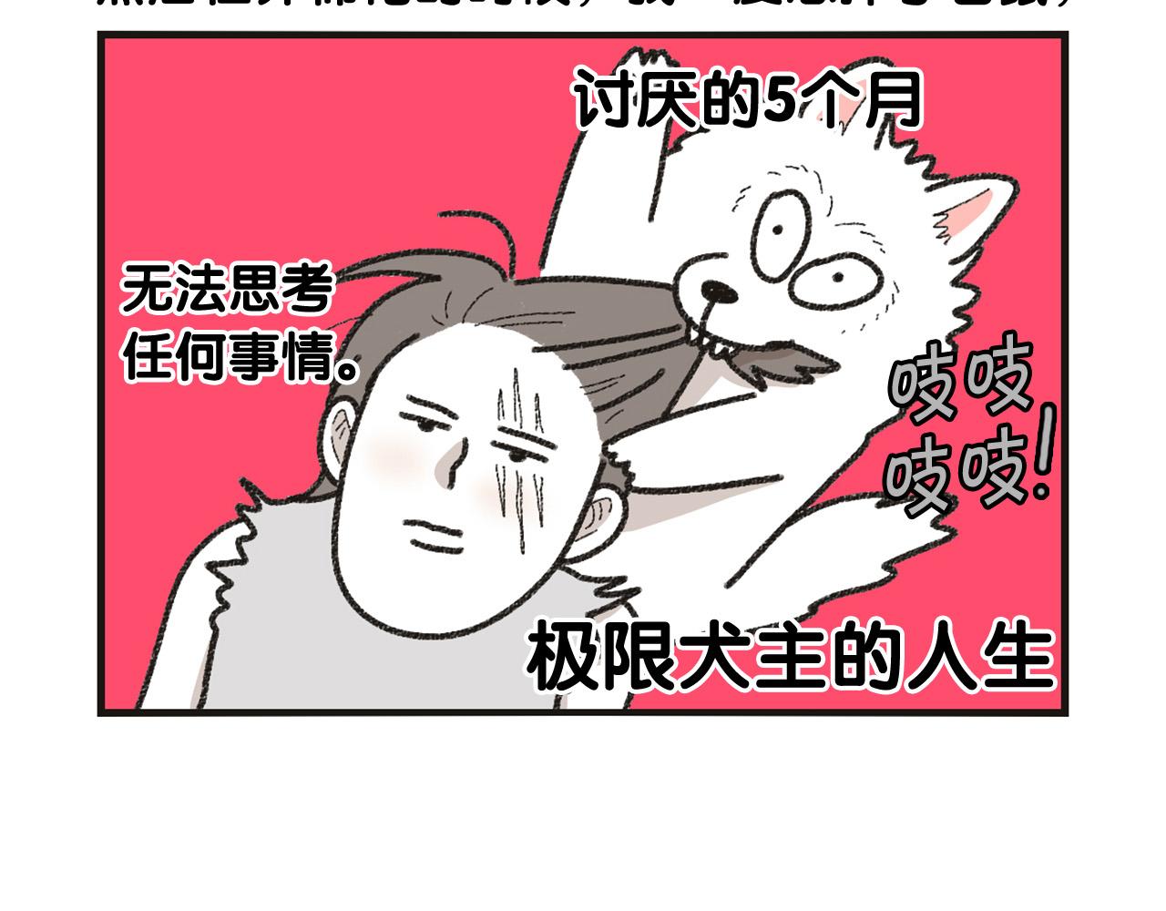 番外1 毛毛登场！(1/2)-第62话