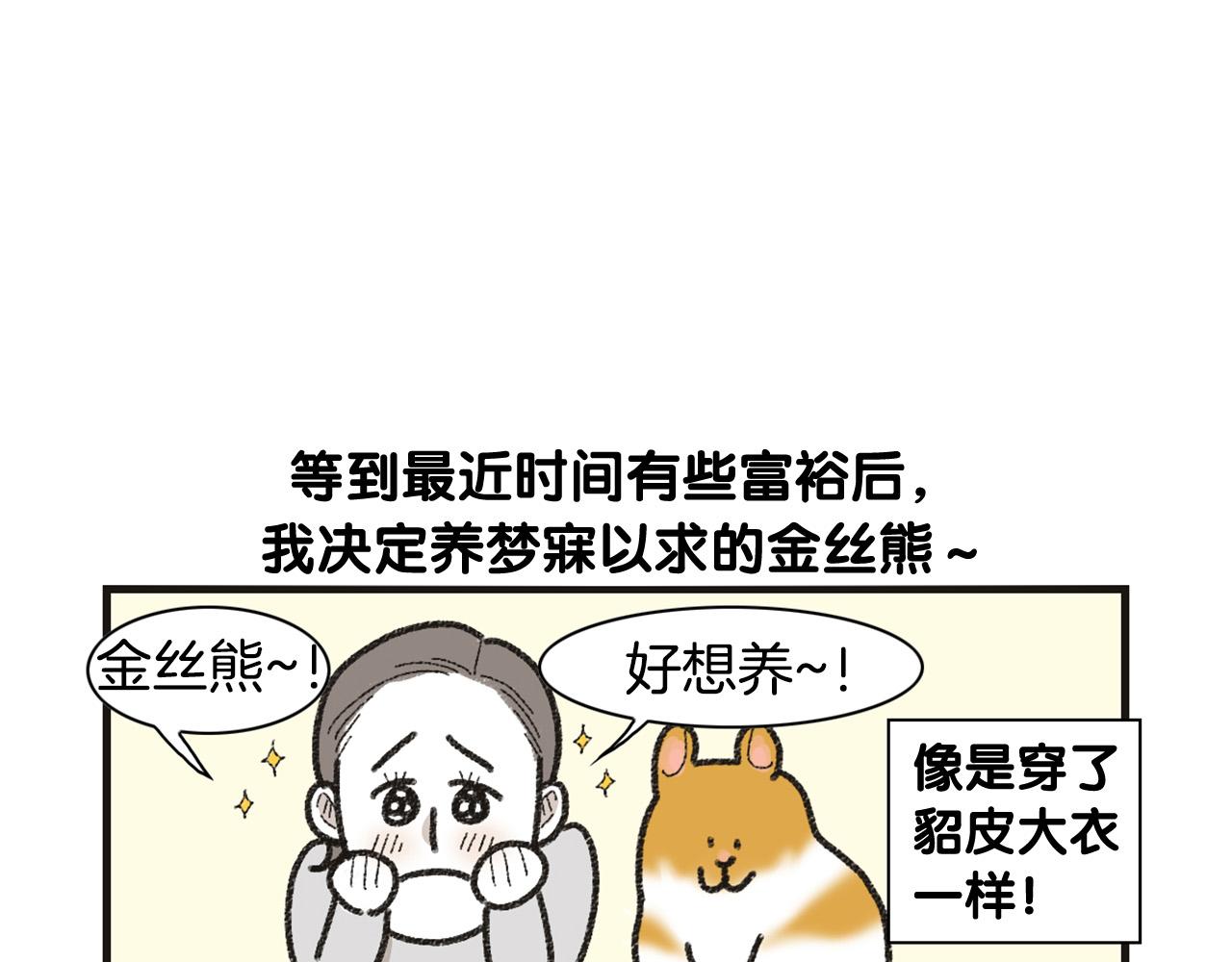 番外1 毛毛登场！(1/2)-第62话