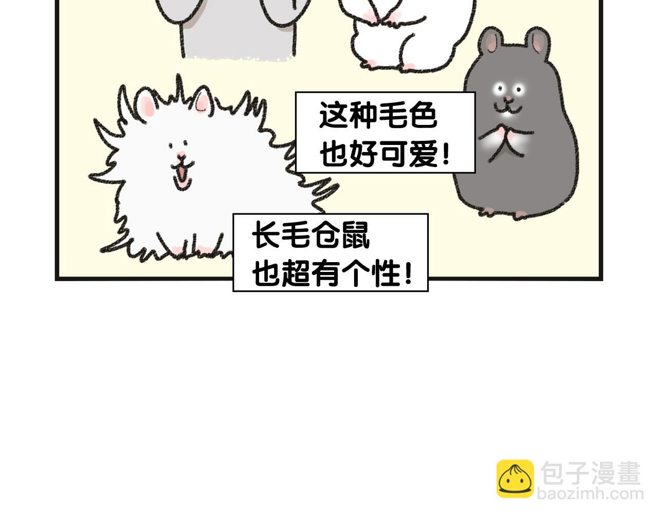 番外1 毛毛登场！(1/2)-第62话