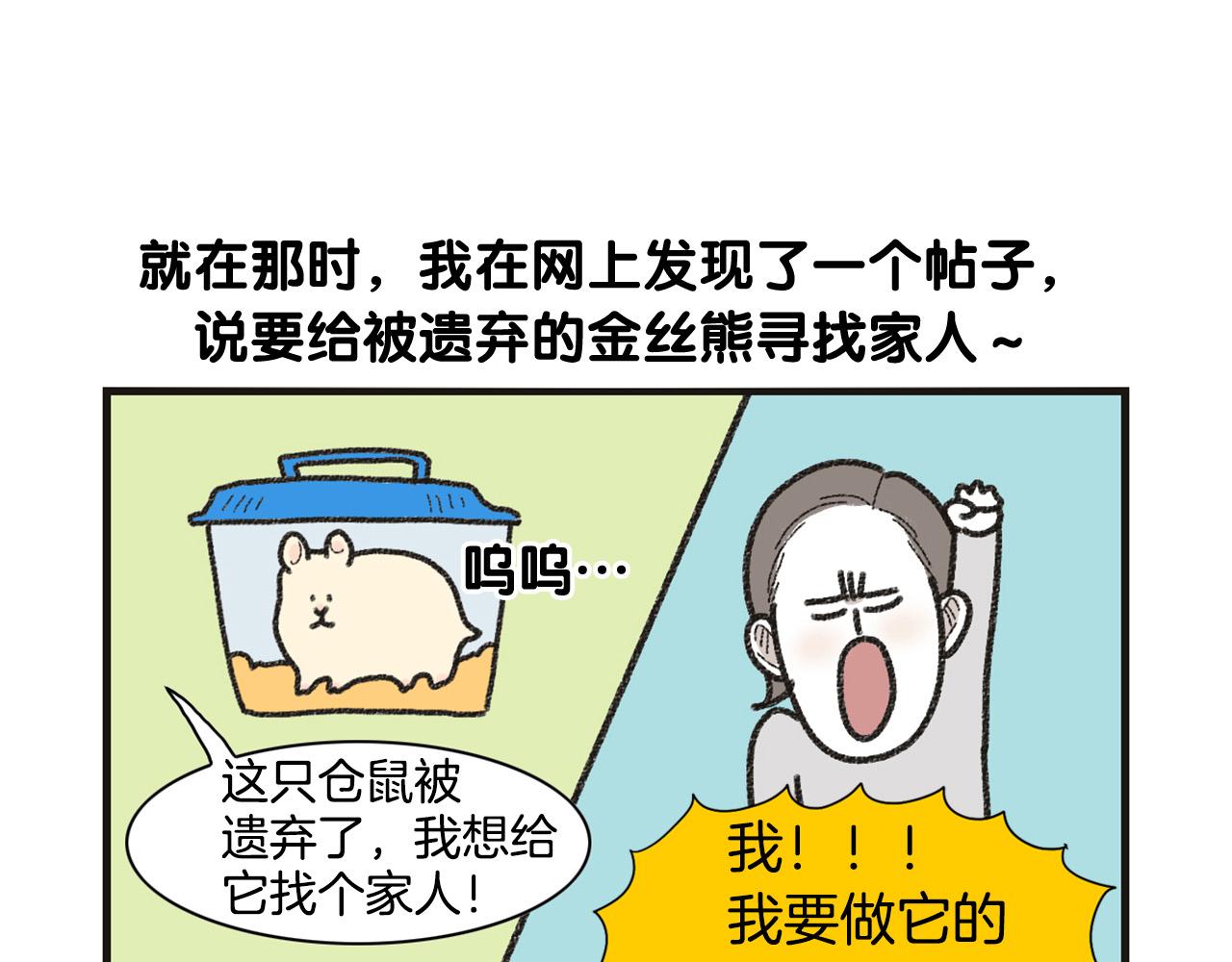 番外1 毛毛登场！(1/2)-第62话