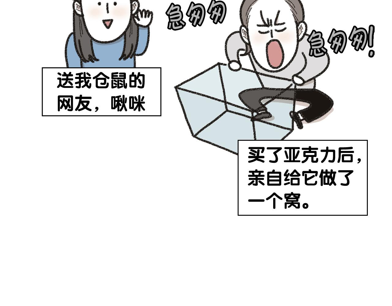 番外1 毛毛登场！(1/2)-第62话