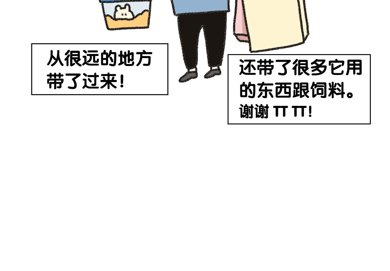 番外1 毛毛登场！(1/2)-第62话