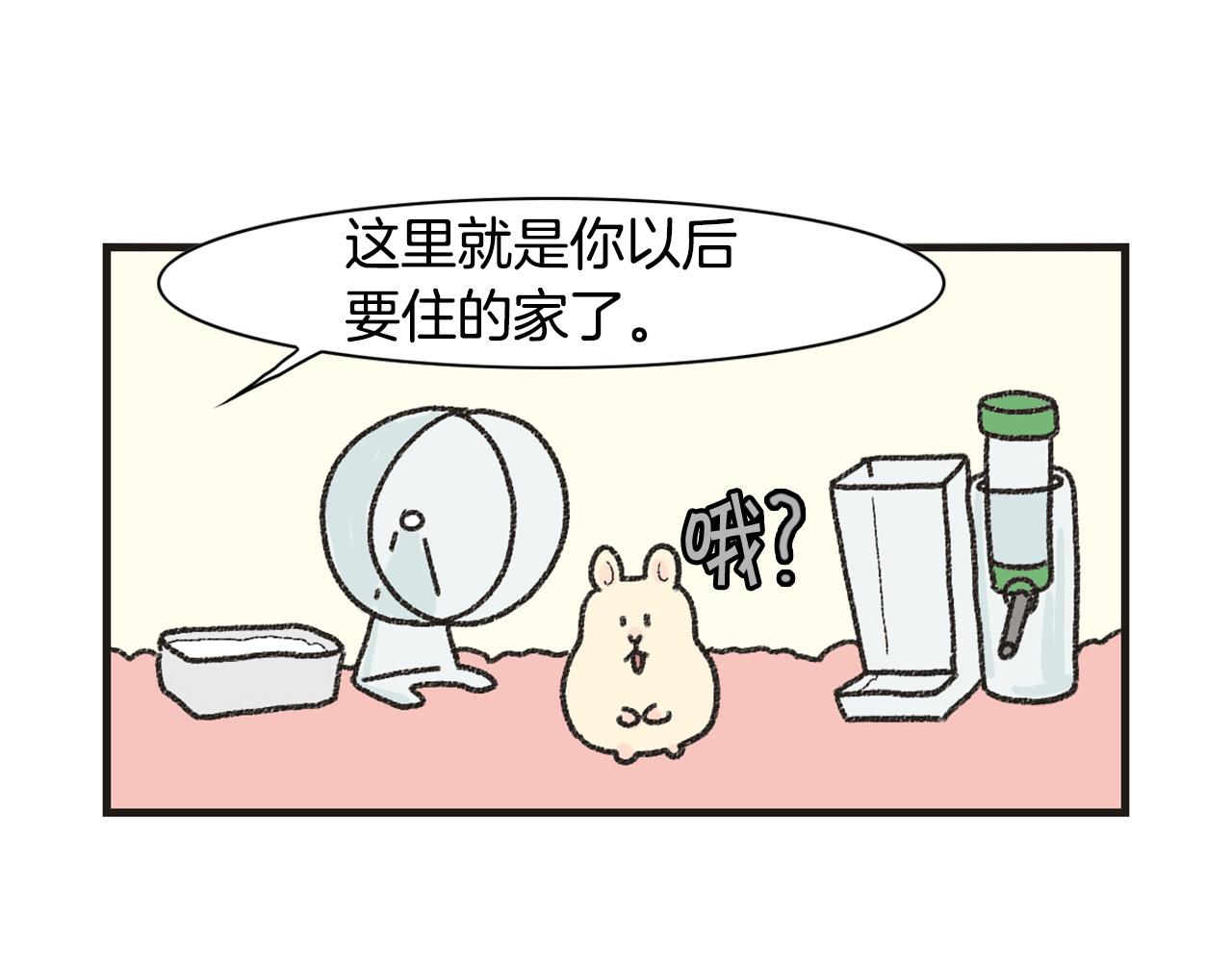 番外1 毛毛登场！(1/2)-第62话