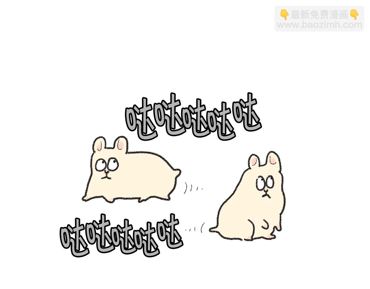 番外1 毛毛登场！(1/2)-第62话