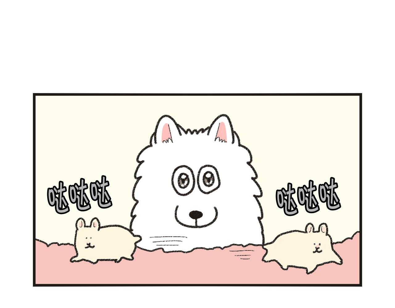 番外1 毛毛登场！(1/2)-第62话