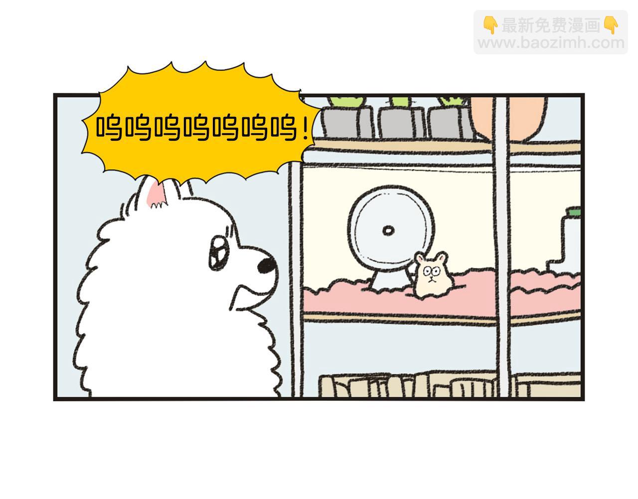 番外1 毛毛登场！(1/2)-第62话