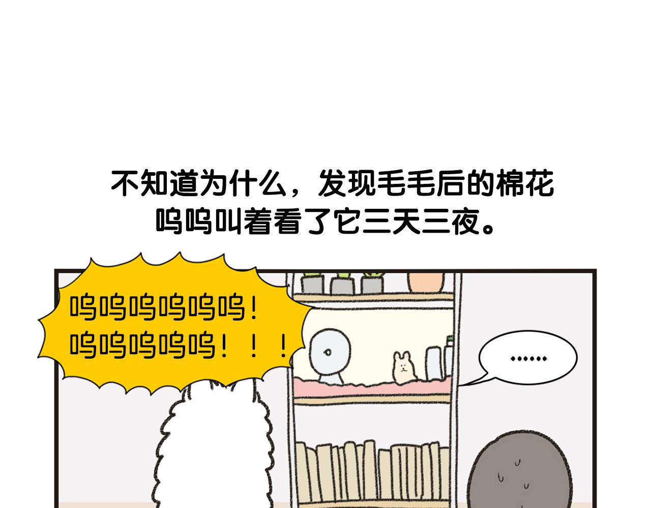 番外1 毛毛登场！(1/2)-第62话