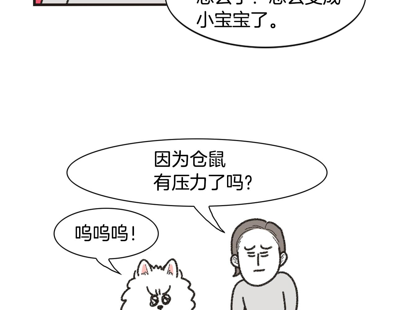 番外1 毛毛登场！(1/2)-第62话