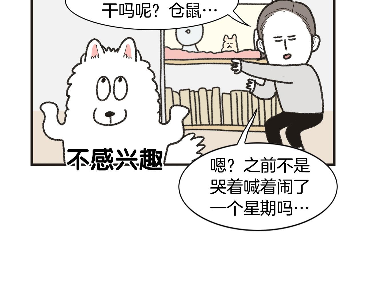 番外1 毛毛登场！(1/2)-第62话