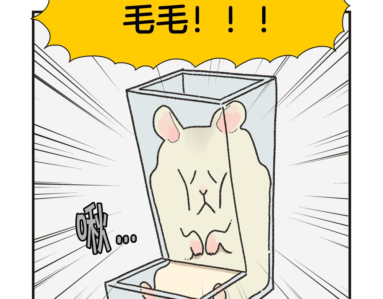 番外1 毛毛登场！(1/2)-第62话