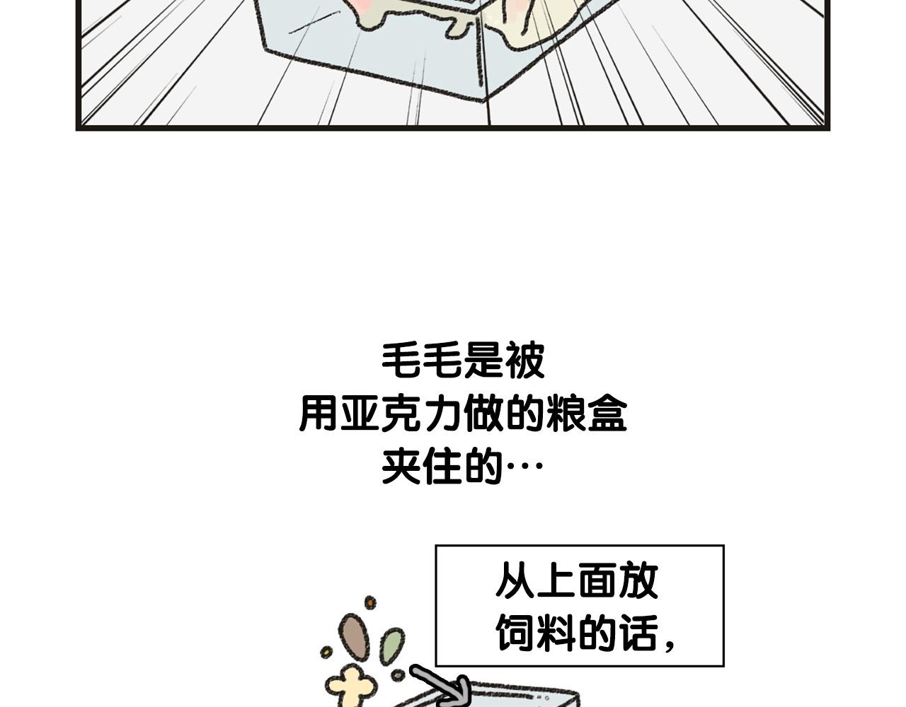 番外1 毛毛登场！(1/2)-第62话