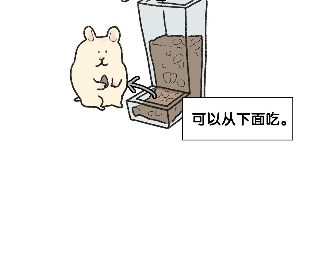 番外1 毛毛登场！(1/2)-第62话