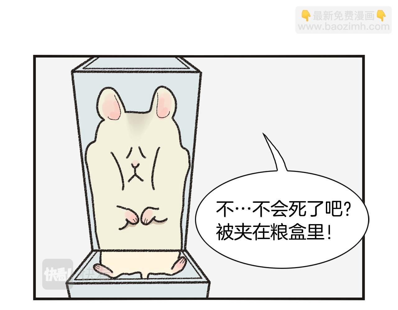 番外1 毛毛登场！(1/2)-第62话