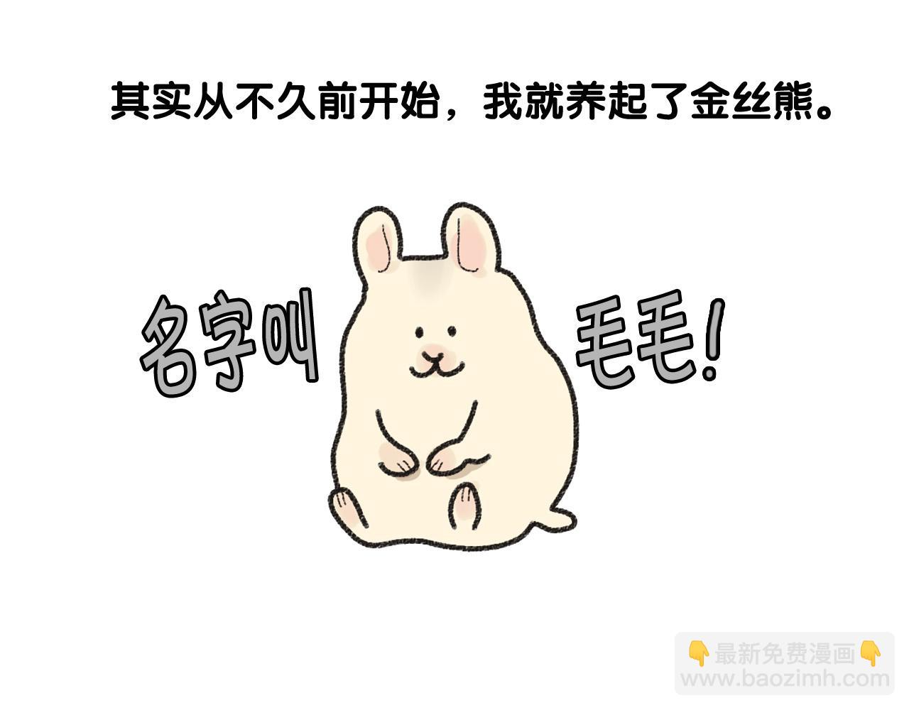 番外1 毛毛登场！(1/2)-第62话