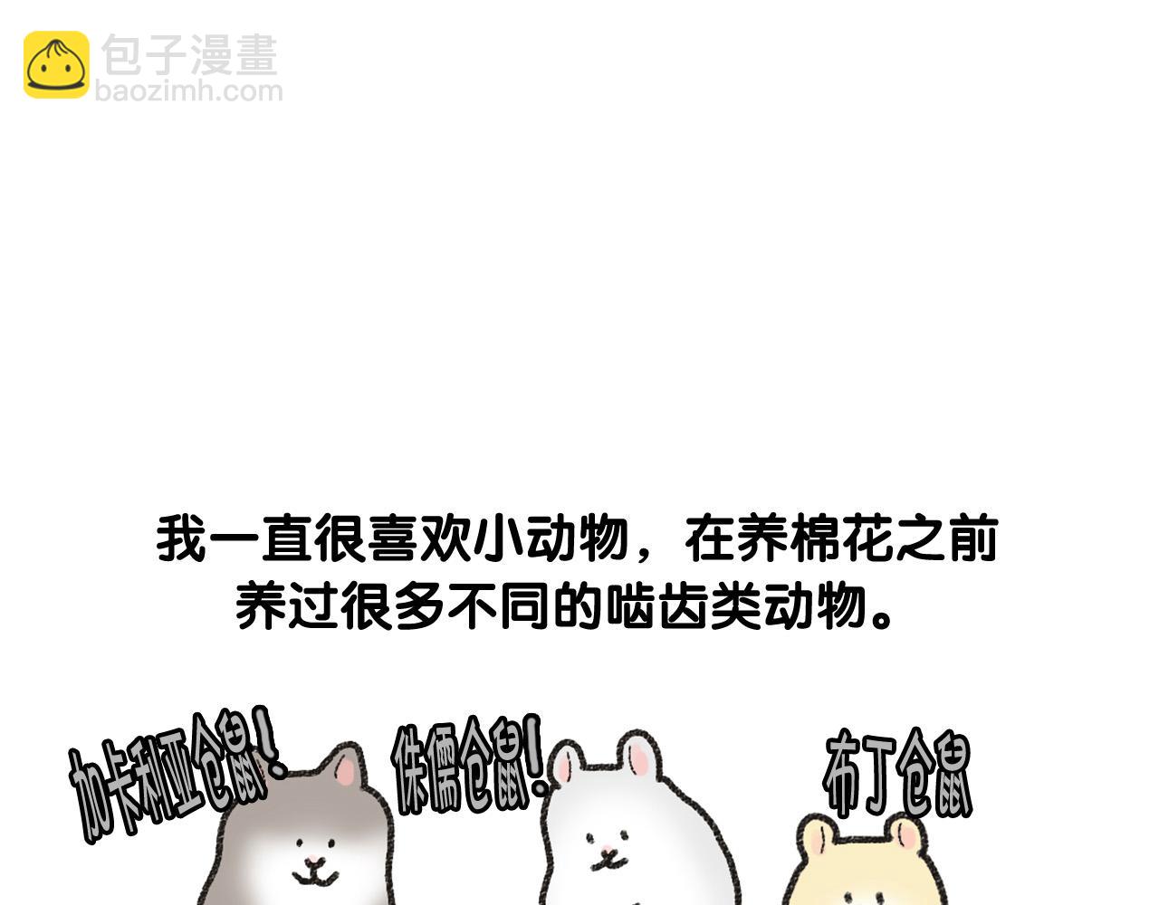 番外1 毛毛登场！(1/2)-第62话