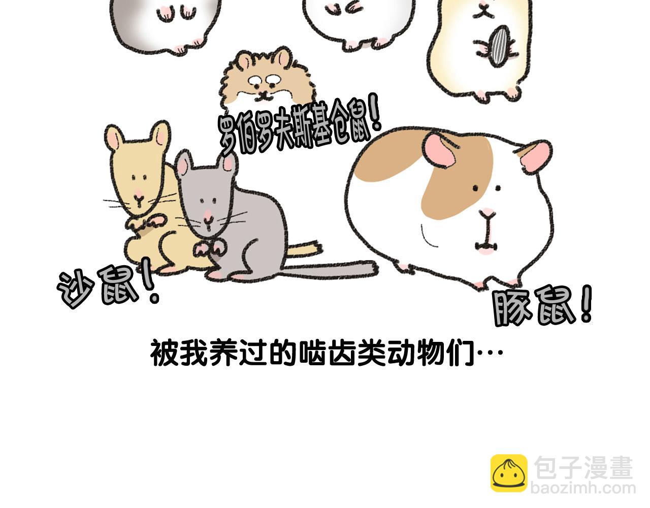 番外1 毛毛登场！(1/2)-第62话