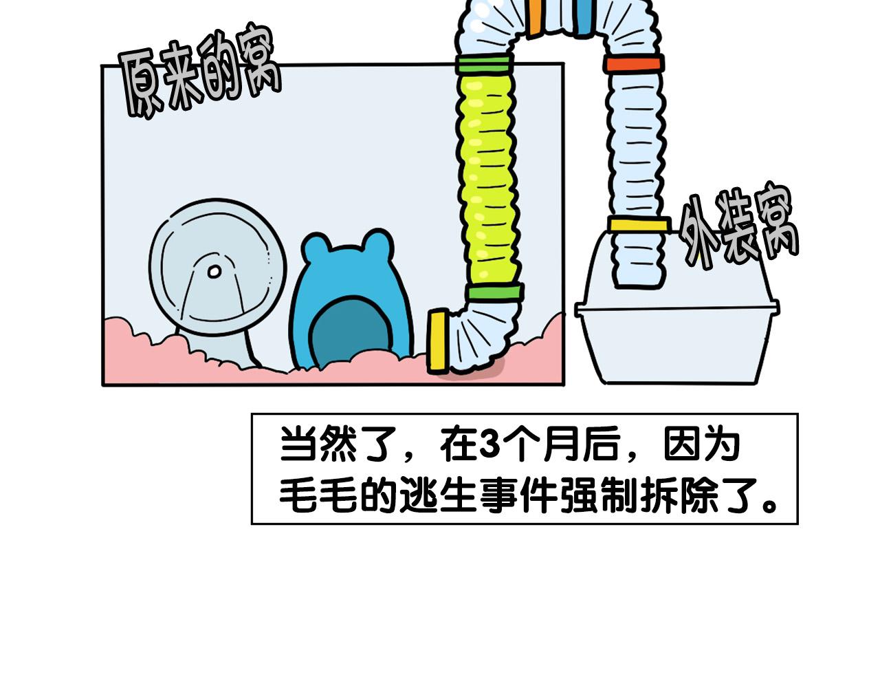 番外3 好奇心(1/2)-第64话