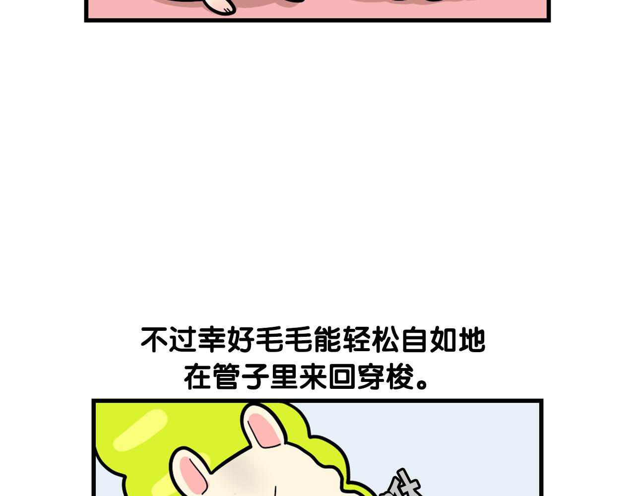 番外3 好奇心(1/2)-第64话