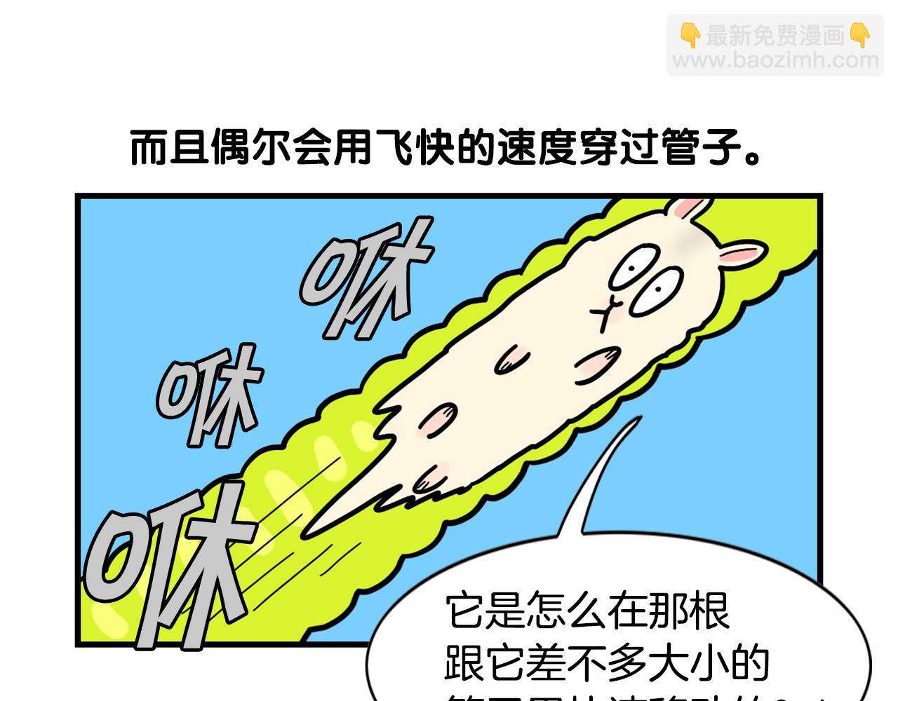 番外3 好奇心(1/2)-第64话