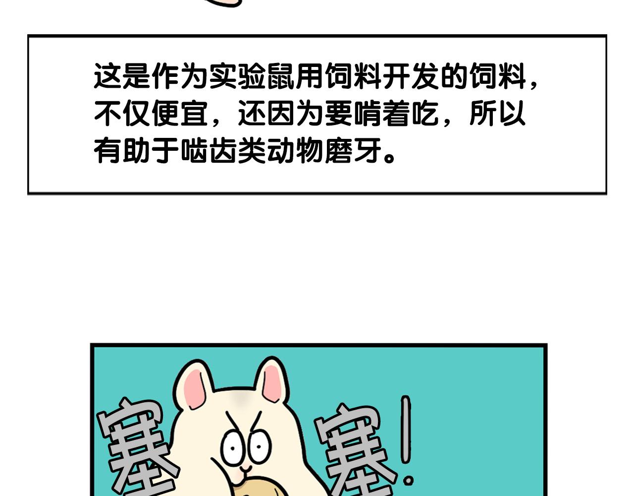 番外3 好奇心(1/2)-第64话