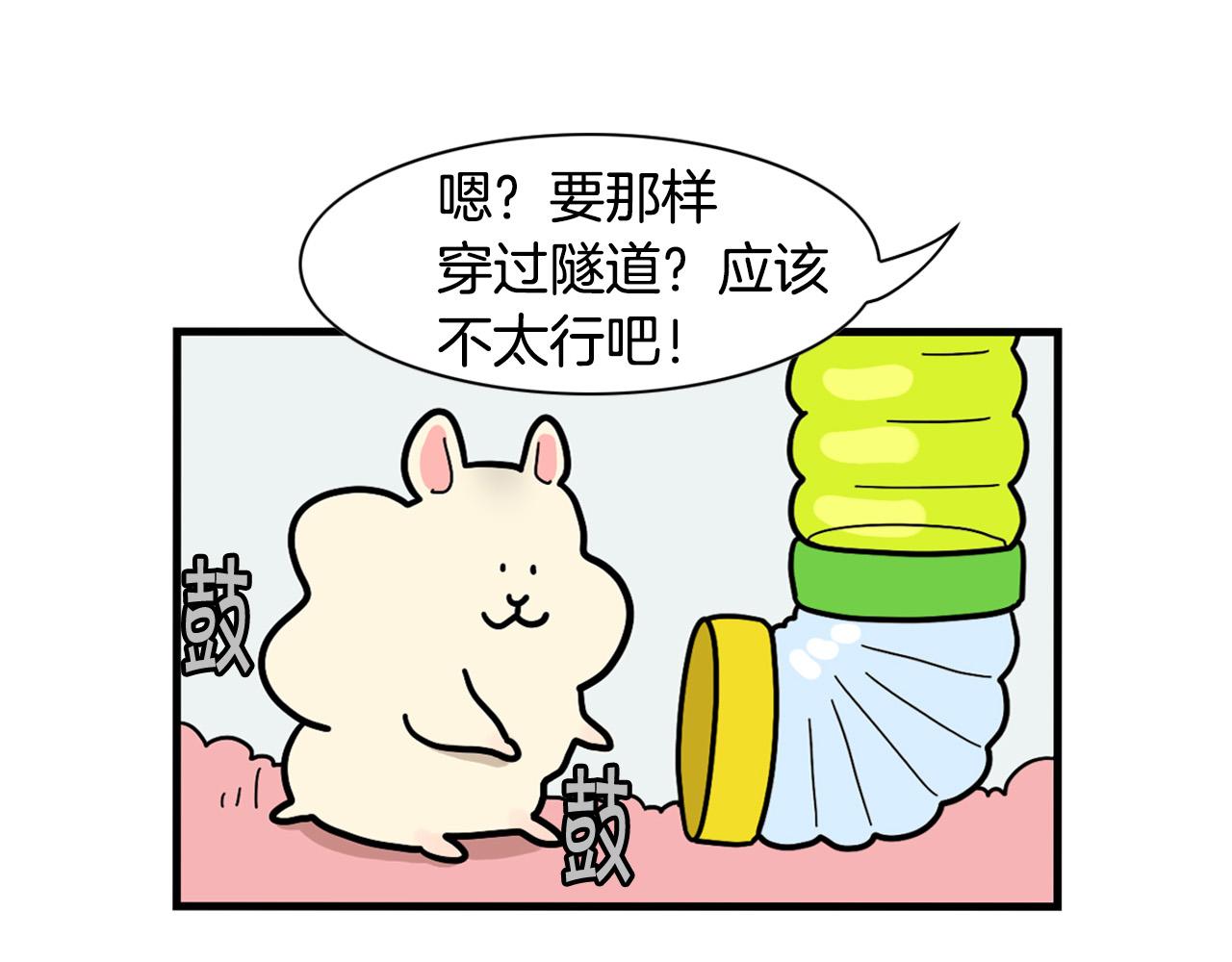 番外3 好奇心(1/2)-第64话