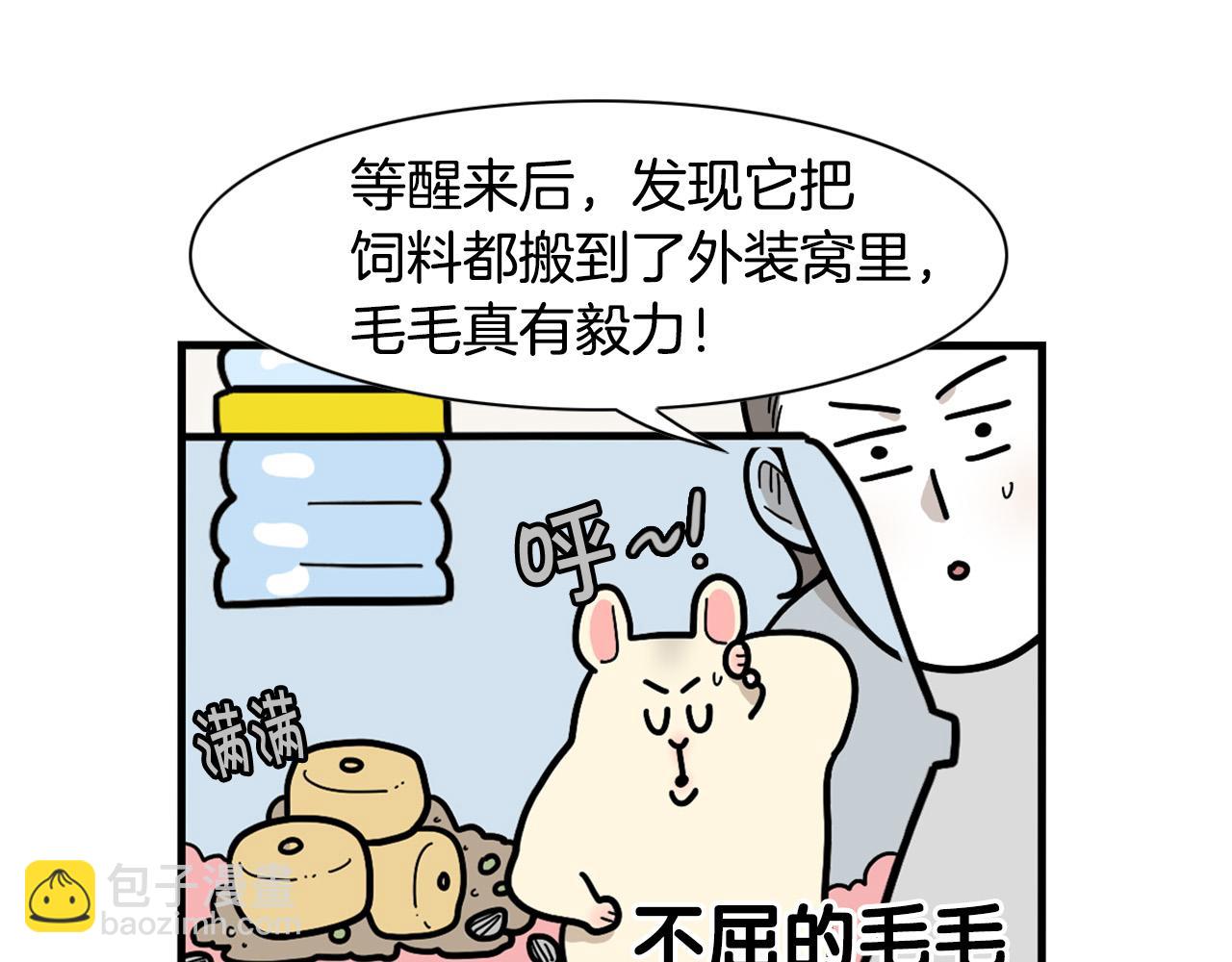 番外3 好奇心(1/2)-第64话