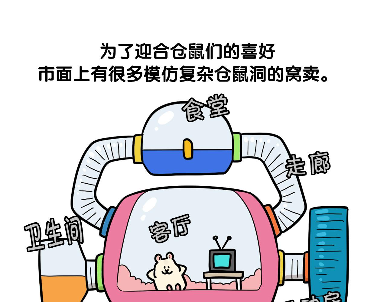 番外3 好奇心(1/2)-第64话