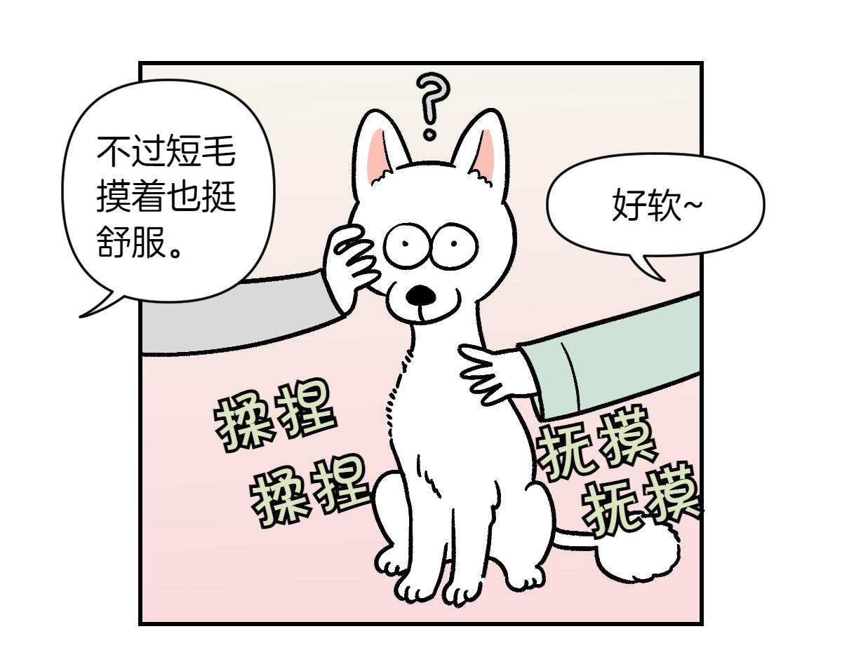 第2话 棉棒美容后记(1/2)-第70话