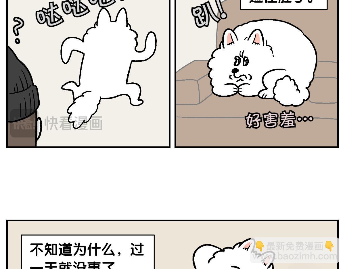 第2话 棉棒美容后记(1/2)-第70话