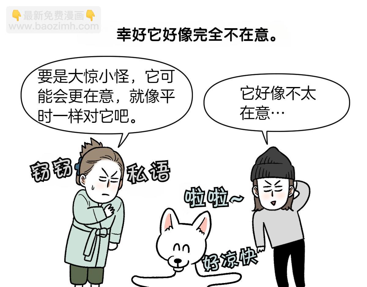 第2话 棉棒美容后记(1/2)-第70话