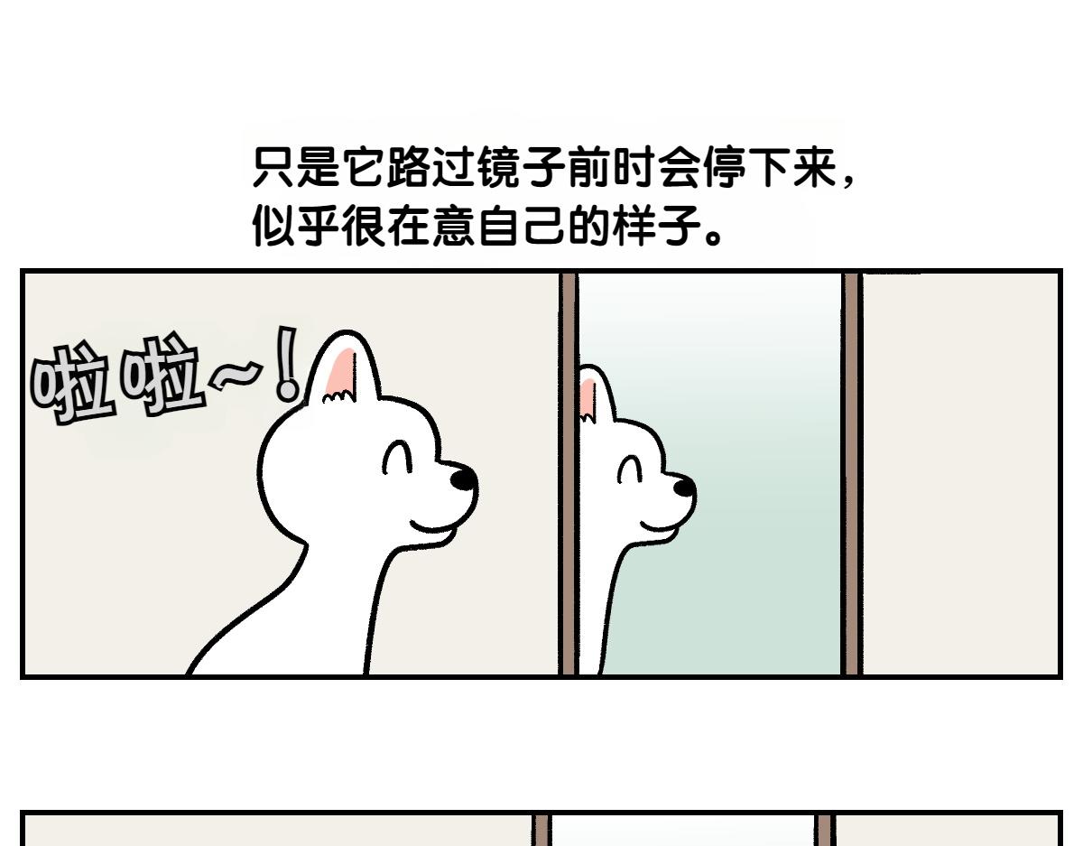 第2话 棉棒美容后记(1/2)-第70话