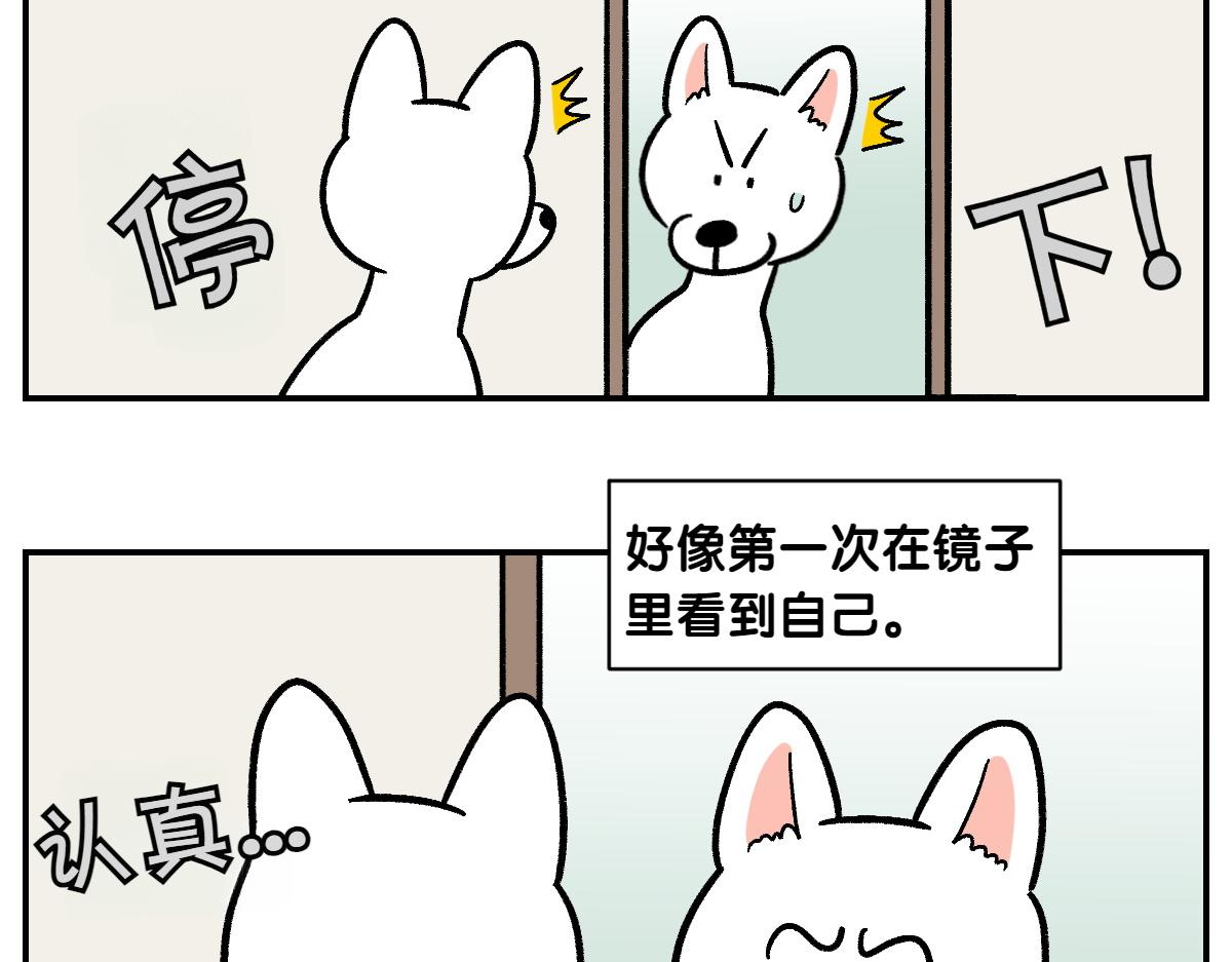 第2话 棉棒美容后记(1/2)-第70话