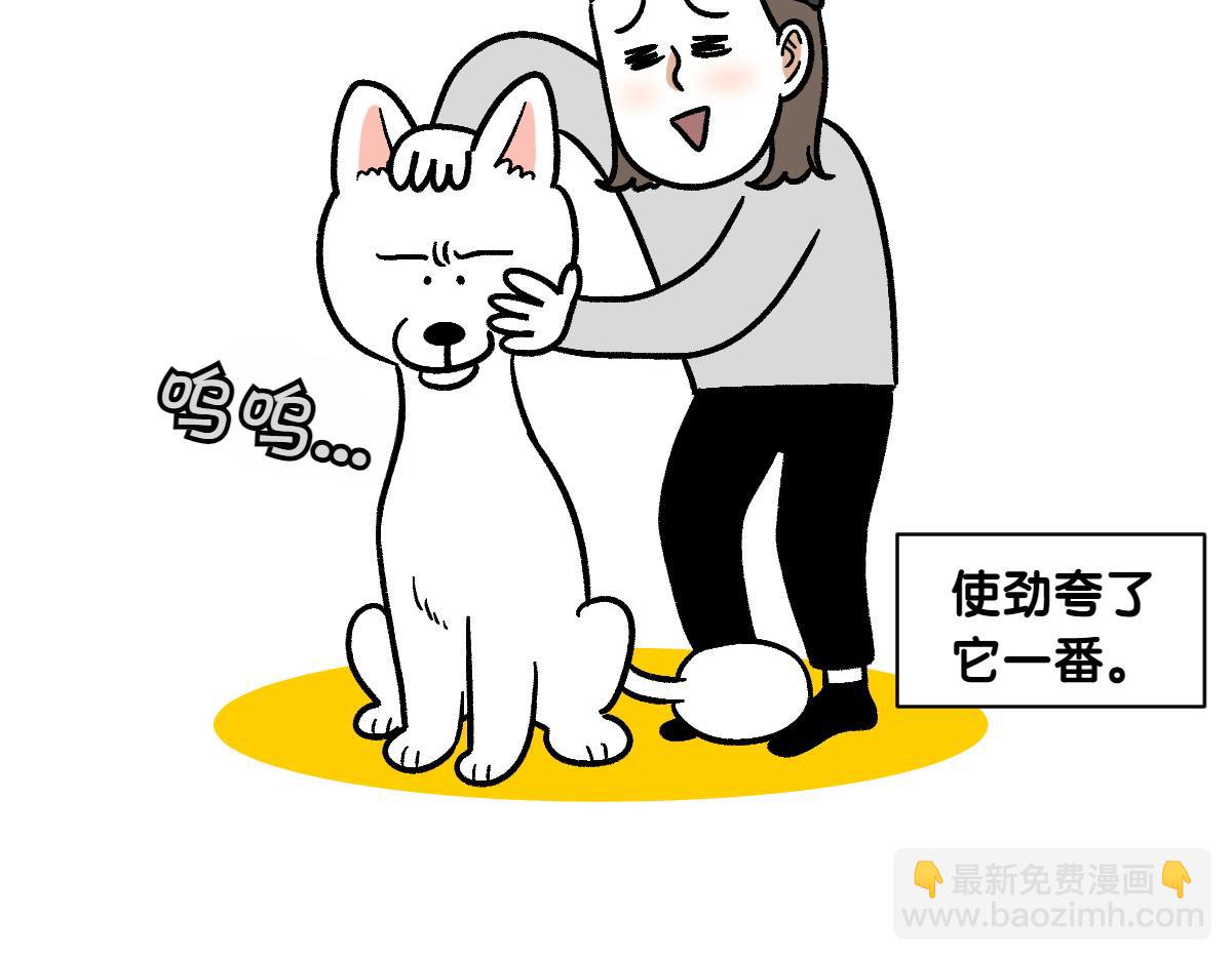 第2话 棉棒美容后记(1/2)-第70话